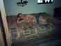 Betty Mitchell Photo 8