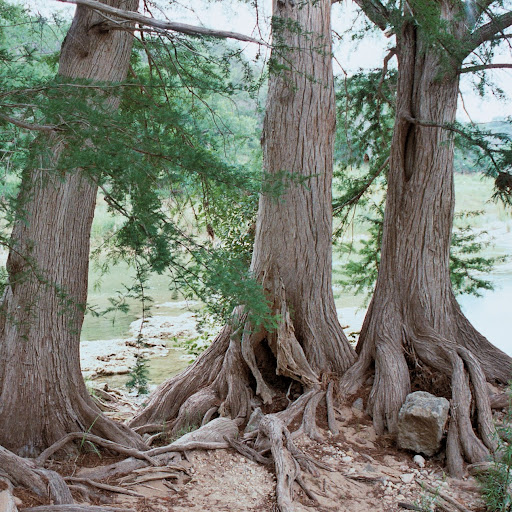 Joseph Cleveland Photo 11