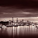 Neil Williams Photo 44