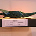 Peter Engel Photo 32