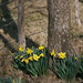 Lorene Brown Photo 27