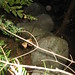 Duane Stone Photo 22