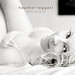 Dawn Robison Photo 8