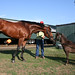 Bill Haskell Photo 11