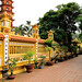 Quoc Tran Photo 8