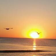 Debra Leavitt Photo 3
