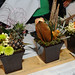 Greg Block Photo 8