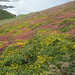 Heather Jolly Photo 31