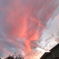 Susan Harding Photo 30