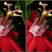 Ann Grace Photo 25