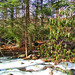 William Rothrock Photo 24