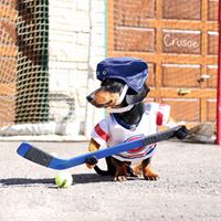 Heidi Cooley Photo 5