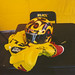 Steve Johnson Photo 12