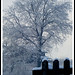 William Devore Photo 13
