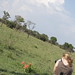 Jill Becker Photo 18