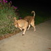 Susan Buell Photo 21