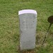 John Bowden Photo 10