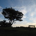 Heather Hill Photo 18