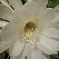Debbie Renner Photo 13