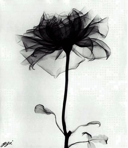 Wen Ting Photo 13