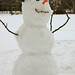 Patrick Kerwin Photo 40