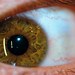 Kim Lash Photo 4