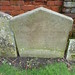 Jane Goings Photo 8