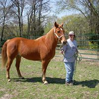Deborah Morton Photo 29