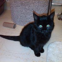 Lucy Platt Photo 2