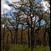 April Lyles Photo 21