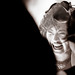 Joy Snyder Photo 19