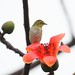 Melinda Whiting Photo 12