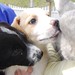 Mary Anzalone Photo 7