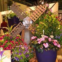 Linda Dailey Photo 30