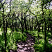 Jason Greenleaf Photo 16