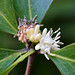 Tracey Webb Photo 19