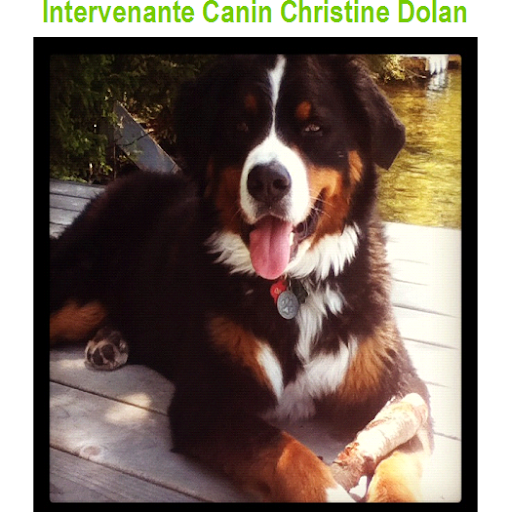 Christine Dolan Photo 17