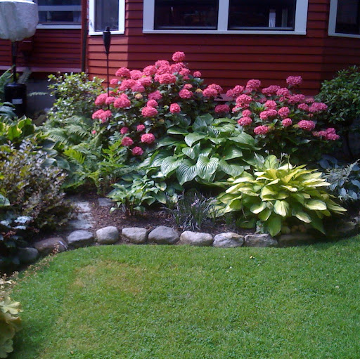 Susan Mccandless Photo 19