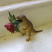 Rex Flowers Photo 14