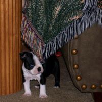 Sandy Dorris Photo 5