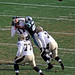 Everette Brown Photo 20