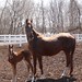 Amy Wyatt Photo 17