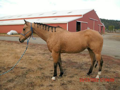 Kimberly Rollins Photo 28