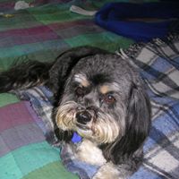 Elinor Robinson Photo 4