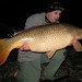 David Carper Photo 16