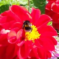 Christine Faulkner Photo 33