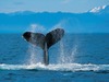 Allen Clair Photo 12