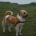 Rudy Beard Photo 8