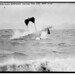 Hugh Robinson Photo 12