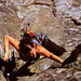 Connie Andersen Photo 15